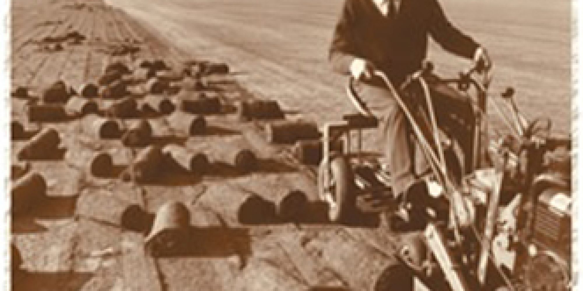 graszoden_eemnes_historie_nw